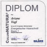 Diplom1 - energetischer Haarschnitt