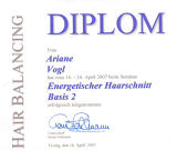 Diplom1 - energetischer Haarschnitt